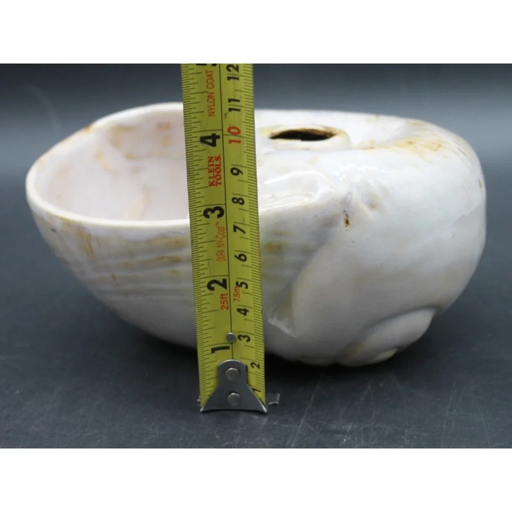 Pier 1 Nautilus Shell Vase Planter Coastal Beach Decor Ceramic 7in Cream Tan